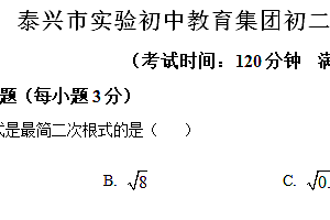 江苏省泰州市泰兴市实验初中教育集团泰师分校2023-2024学年八年级下学期6月月考数学试题(含解析)
