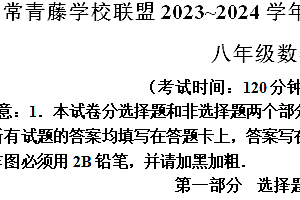 江苏省兴化市常青藤学校联盟2023-2024学年八年级下学期第1次月考数学试题(含解析)
