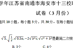 江苏省南通市海安市十三校联考2023-2024学年八年级(下)月考数学试卷(3月份)(含解析)