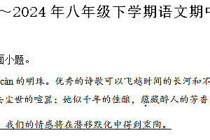 江苏省南通市海安市西片联盟2023-2024学年八年级下学期期中语文试题(含解析)