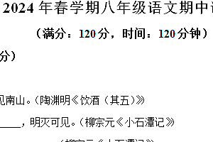 江苏省盐城市大丰区2023-2024学年八年级下学期期中语文试题(含解析)