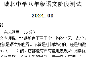 江苏省扬州市高邮市城北中学2023-2024学年八年级下学期第一次课堂练习语文试题(含答案)