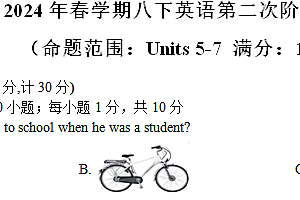 江苏省盐城市射阳外国语学校2023-2024学年下学期八年级英语第二次阶段练习(含答案,含音频,无听力原文)