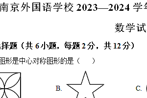 江苏省南京市南京外国语学校2023-2024学年八年级下学期期中数学试题(含解析)