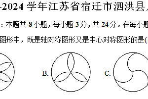 江苏省宿迁市泗洪县2023-2024学年八年级(下)期中数学试卷(含解析)