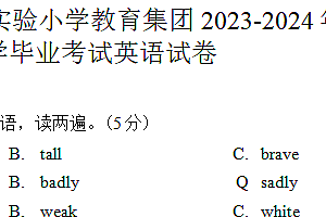 江苏省常州市武进区实验小学教育集团2023-2024学年六年级下册期末英语试题(含答案)