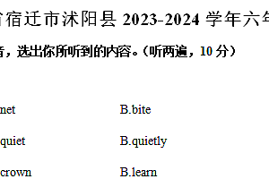江苏省宿迁市沭阳县2023-2024学年六年级下学期期末考试英语试题(含答案)