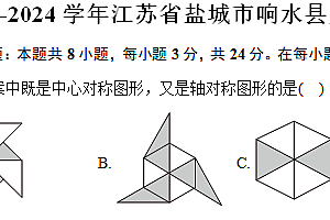 江苏省盐城市响水县2023-2024学年八年级(下)期末数学试卷(含答案)