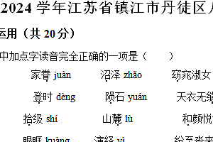 江苏省镇江市丹徒区2023-2024学年八年级下学期期末语文试题(含解析)