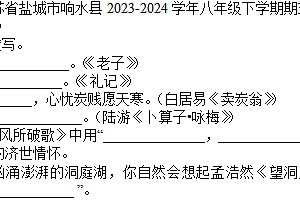 江苏省盐城市响水县2023-2024学年八年级下学期期末语文试卷(含答案)