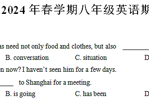 江苏省东台市实验中学2023-2024学年八年级下学期期末练习英语试卷(含答案)