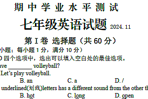 江苏省淮安市金湖县2024-2025学年七年级上学期11月期中考试英语试题(含答案)