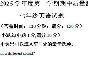 江苏省南通市启东市2024-2025学年七年级上学期11月期中考试英语试题(含解析)