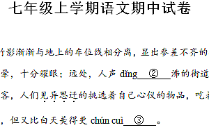 江苏省苏州工业园区星湾学校2024-2025学年七年级上学期期中语文试题(含解析)