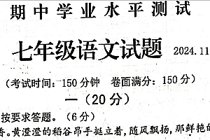 江苏省淮安市金湖县2024-2025学年七年级上学期11月期中语文试题(含答案)