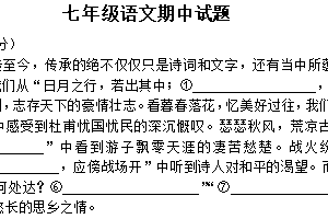 江苏省徐州市沛县第五中学2024-2025学年七年级上学期11月期中考试语文试题(含答案)
