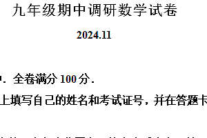 江苏省常州市天宁区常州市实验初级中学2024-2025学年九年级上学期11月期中数学试题(含解析)