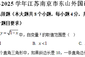 江苏省南京市东山外国语学校2024-2025学年九年级上学期数学期中测试卷(含解析)
