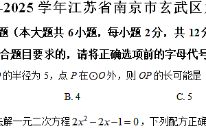 江苏省南京市玄武区2024-2025学年九年级上学期期中数学试卷(含解析)