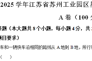 江苏省苏州工业园区星湖学校2024-2025学年九年级上学期数学期中测试卷(含解析)