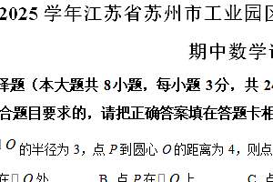 江苏省苏州市工业园区青剑湖实验中学2024-2025学年九年级上学期期中数学试卷(含解析)