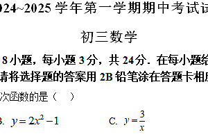 江苏省苏州市立达中学2024-2025学年上学期九年级数学期中考试题(含解析)