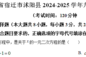 江苏省宿迁市沭阳县2024-2025学年九年级上学期11月期中数学试题(含解析)