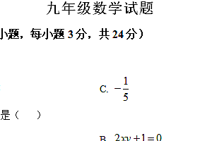 江苏省宿迁市泗洪县2024-2025学年九年级上学期11月期中数学试题(含解析)