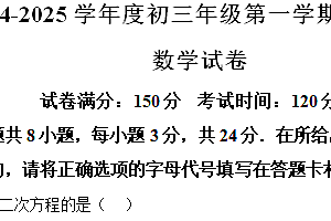 江苏省宿迁市宿城区2024-2025学年九年级上学期11月期中考试数学试题(含解析)