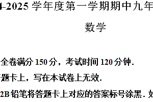江苏省宿迁市宿豫区2024-2025学年九年级上学期11月期中考试数学试题(含解析)