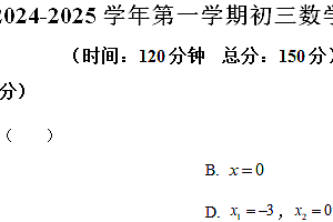 江苏省无锡金桥双语实验学校2024-2025学年上学期九年级期中考试数学试题(含解析)