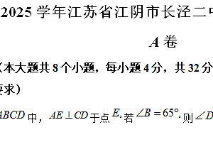 江苏省无锡市江阴市长泾第二中学2024-2025学年上学期九年级数学期中测试卷(含解析)