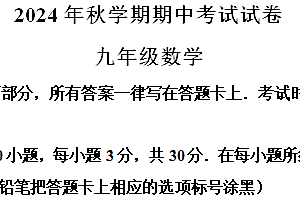 江苏省无锡市经开区2024-2025学年上学期九年级期中考试数学试题(含解析)