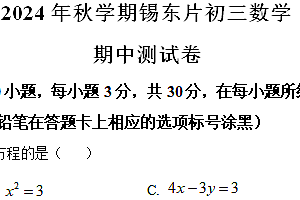 江苏省无锡市锡东片2024-2025学年九年级上学期期中考试数学试题(含解析)