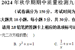 江苏省无锡市新吴区2024-2025学年九年级上学期期中数学试题(含解析)