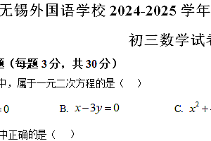 江苏省无锡外国语学校2024一2025学年上学期期中考试九年级数学试卷(含解析)
