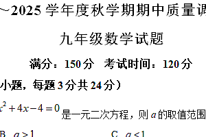 江苏省盐城市东台市第五教育联盟2024-2025学年九年级上学期期中考试数学试题(含解析)