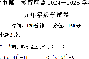 江苏省盐城市东台市第一教育联盟2024-2025学年九年级上学期11月期中数学试题(含解析)