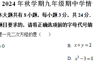 江苏省盐城市阜宁县2024—2025学年九年级上学期11月期中数学试题(含解析)