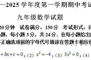 江苏省盐城市建湖县2024-2025学年九年级上学期11月期中考试数学试题(含解析)