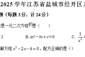 江苏省盐城市经开区2024-2025学年九年级上学期期中数学试卷(含解析)