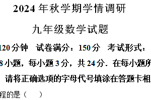 江苏省盐城市亭湖新区2024—2025学年上学期九年级期中考试数学试题(含解析)