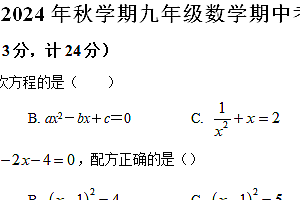 江苏省盐城市盐城经济技术开发区2024-2025学年九年级上学期11月期中考试数学试题(含解析)