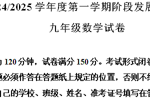 江苏省盐城市盐都区第一共同体2024-2025学年九年级上学期11月期中数学试题(含解析)