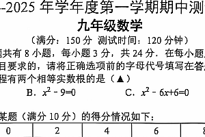 江苏省扬州市宝应县2024-2025学年九年级上学期11月期中数学试题(含答案)