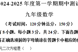 江苏省扬州市仪征市2024-2025学年九年级上学期11月期中数学试题(含解析)