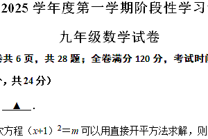 江苏省镇江市京口区京口中学、镇江市第十中学2024-2025学年九年级上学期11月期中联考数学试题(含答案)
