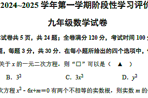 江苏省镇江市镇江新区2024-2025学年九年级上学期11月期中考试数学试题(含答案)