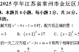 江苏省常州市金坛区2024-2025学年九年级上学期期中考试数学试卷(含解析)