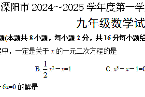 江苏省常州市溧阳市2024-2025学年九年级上学期11月期中数学试题(含答案)